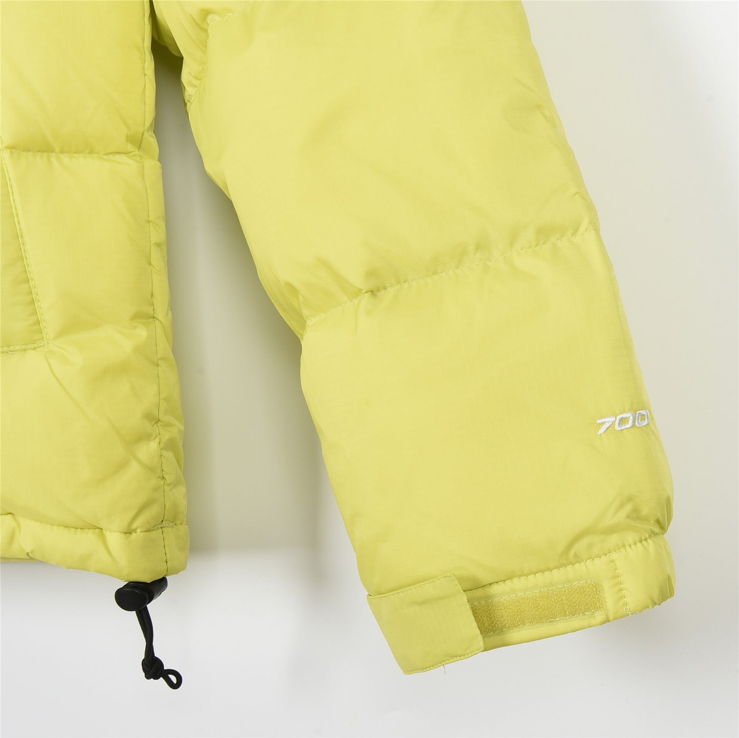 The North Face coat